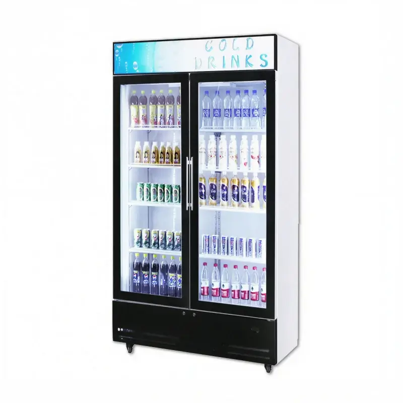 Double Door Display Refrigerator