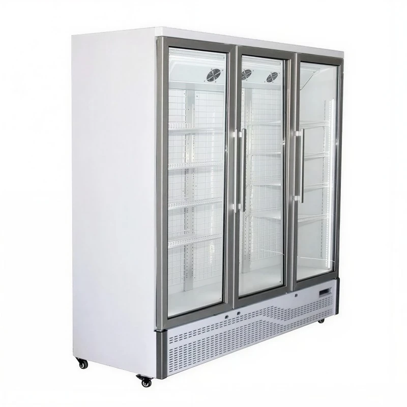 Three Door Glass Freezer