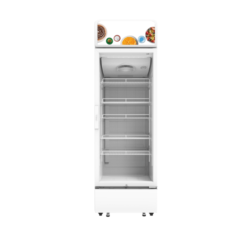 upright display freezer
