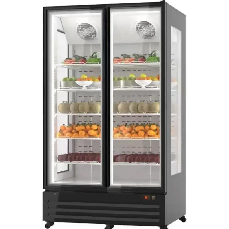 commercial 2-door refrigerator