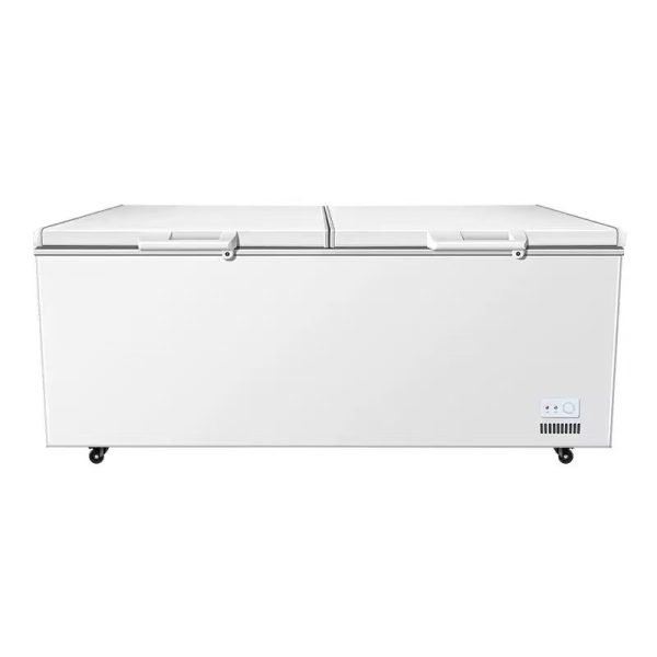 double door deep freezer-1