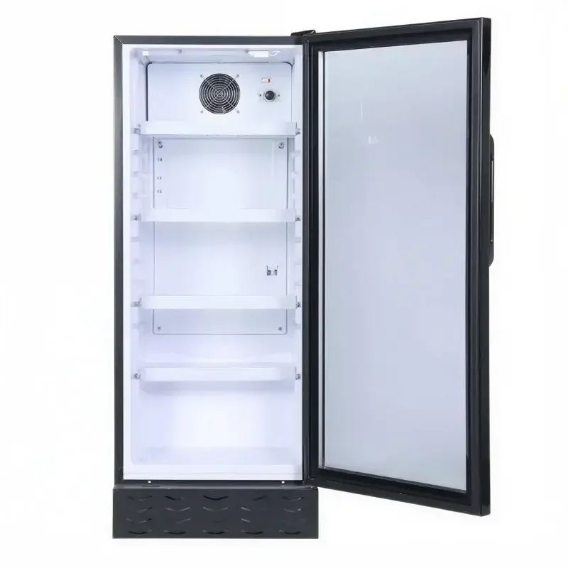Commercial Freezer Glass Door