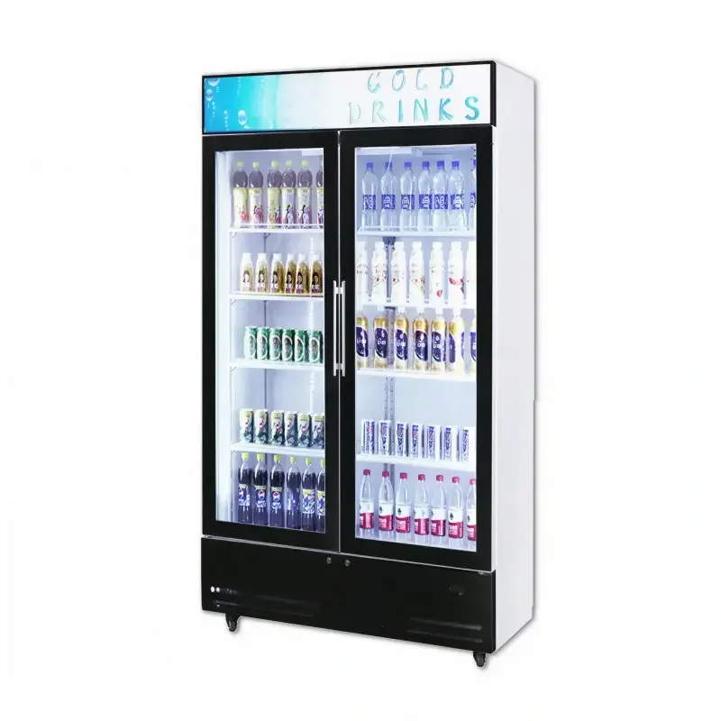 Double door display refrigerator