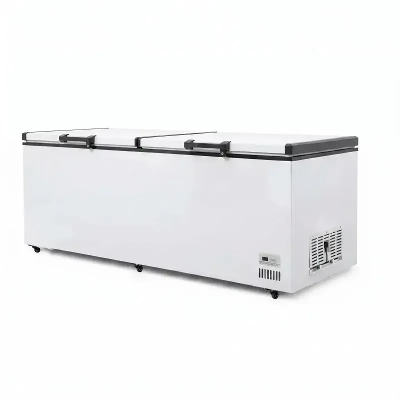 large chest freezer
