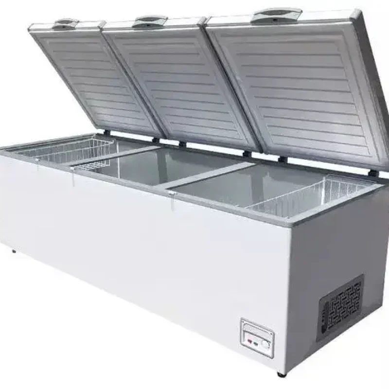 3 Door Deep Freezer